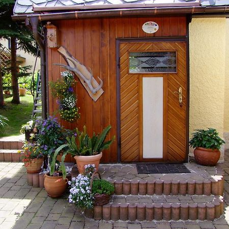Ferienhaus Erzgebirge "An Der Trebe" Mit Kamin Und Sauna نيوهاوسين الغرفة الصورة