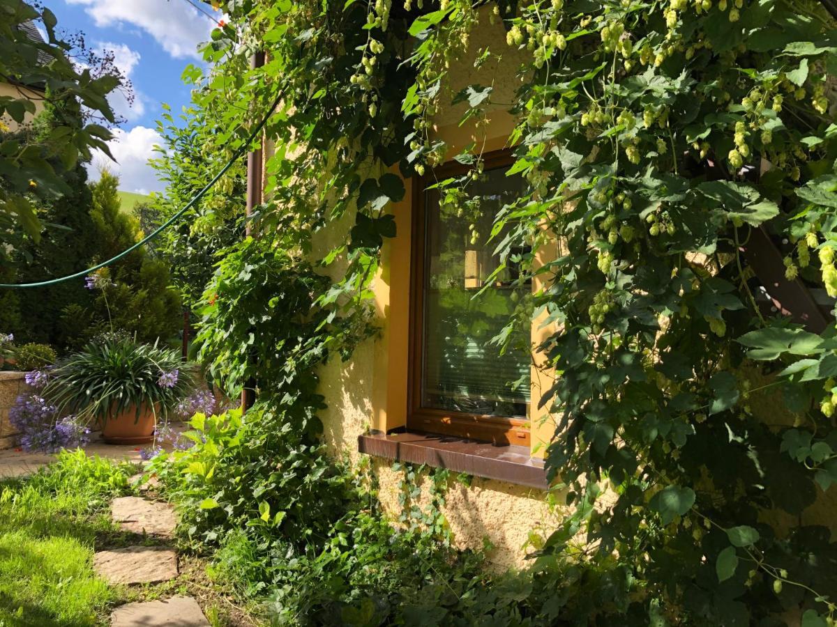 Ferienhaus Erzgebirge "An Der Trebe" Mit Kamin Und Sauna نيوهاوسين المظهر الخارجي الصورة