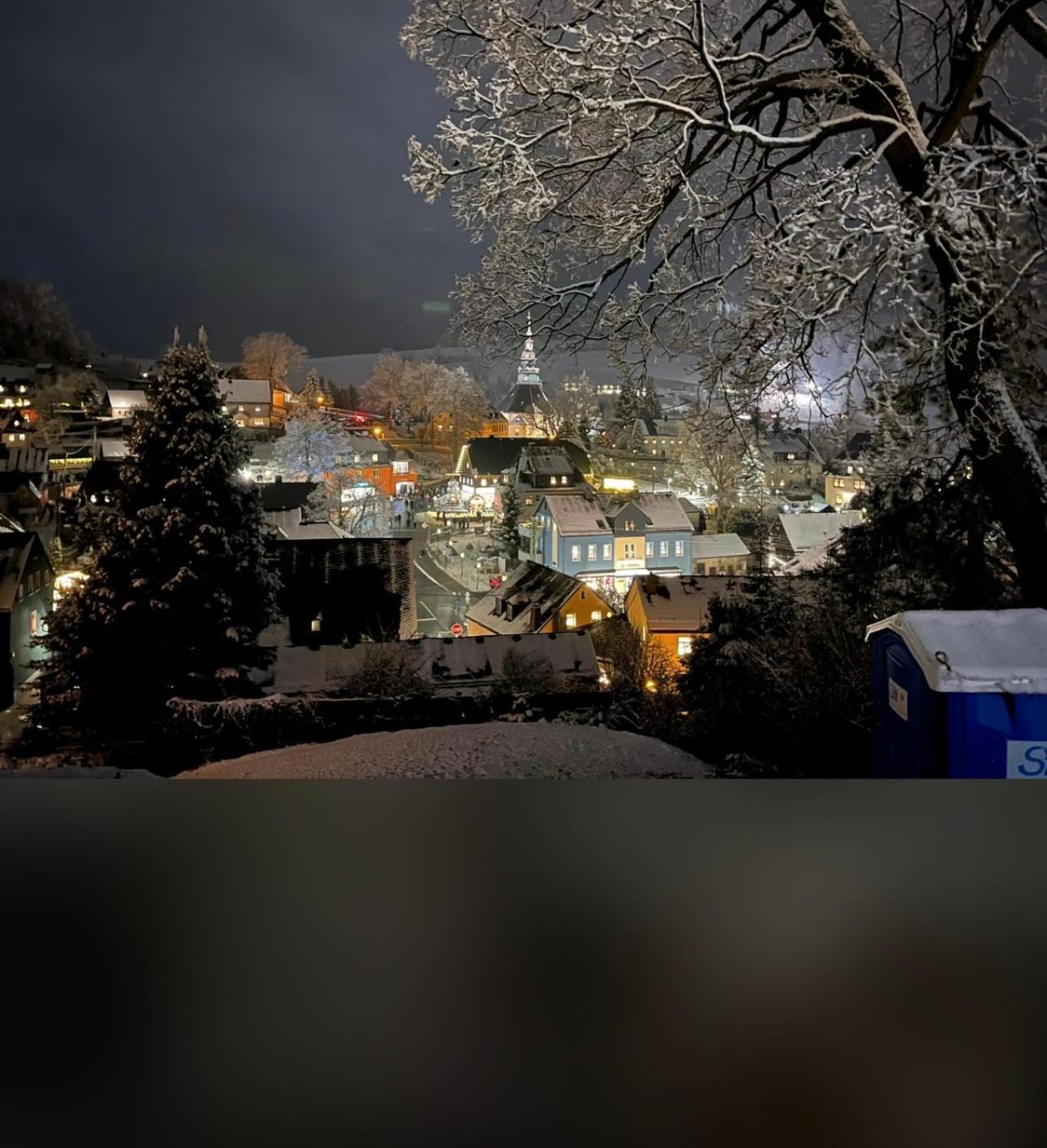 Ferienhaus Erzgebirge "An Der Trebe" Mit Kamin Und Sauna نيوهاوسين المظهر الخارجي الصورة
