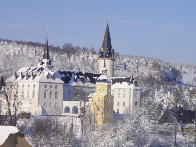 Ferienhaus Erzgebirge "An Der Trebe" Mit Kamin Und Sauna نيوهاوسين الغرفة الصورة