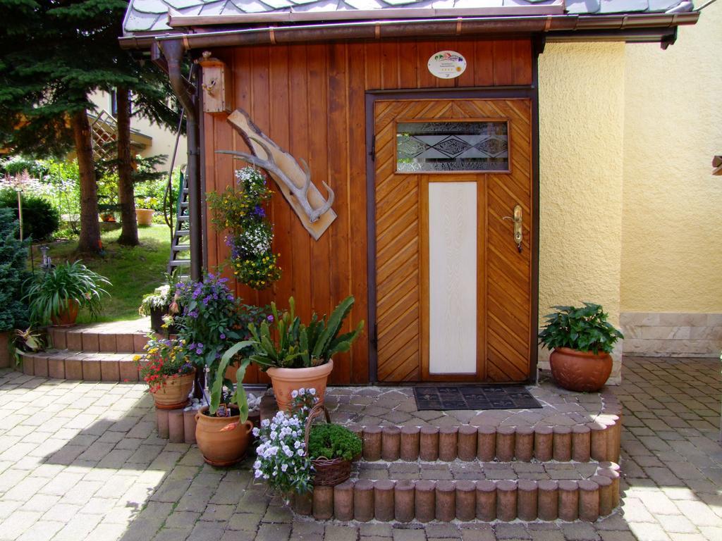 Ferienhaus Erzgebirge "An Der Trebe" Mit Kamin Und Sauna نيوهاوسين الغرفة الصورة