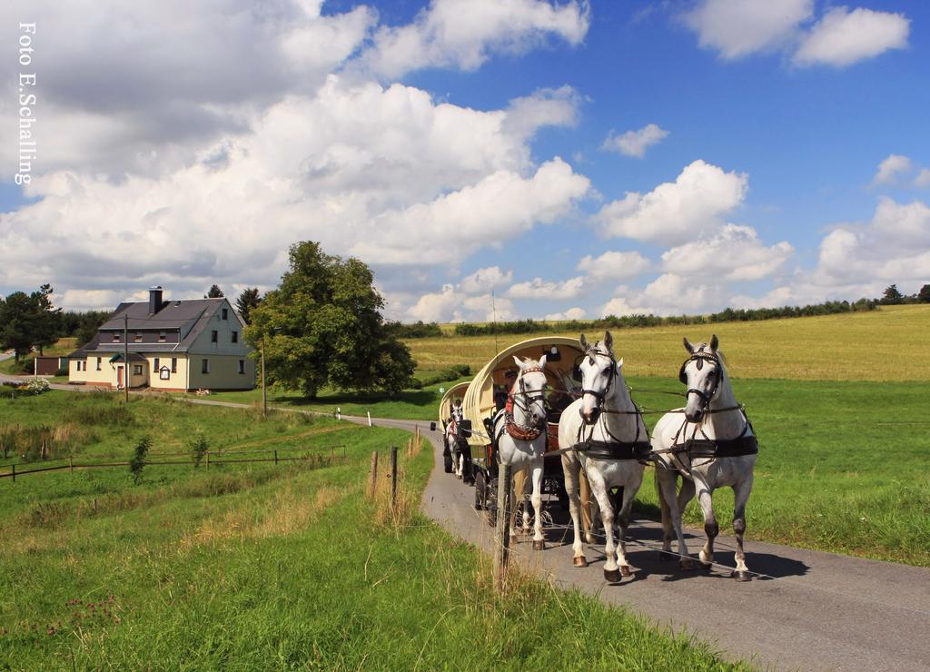 Ferienhaus Erzgebirge "An Der Trebe" Mit Kamin Und Sauna نيوهاوسين المظهر الخارجي الصورة
