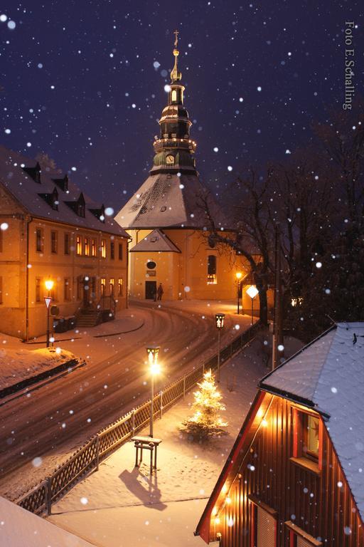 Ferienhaus Erzgebirge "An Der Trebe" Mit Kamin Und Sauna نيوهاوسين المظهر الخارجي الصورة