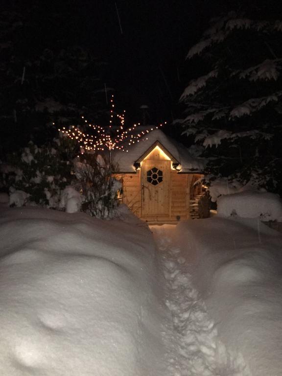 Ferienhaus Erzgebirge "An Der Trebe" Mit Kamin Und Sauna نيوهاوسين المظهر الخارجي الصورة