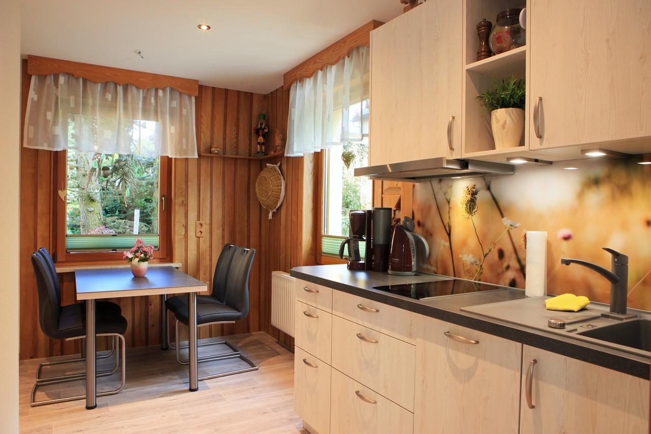 Ferienhaus Erzgebirge "An Der Trebe" Mit Kamin Und Sauna نيوهاوسين المظهر الخارجي الصورة